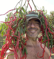 Leitfaden zum Anbau der schärfsten Chilischoten der Welt von Carlo Martini