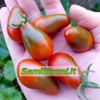 Schoko-Birnen-Tomate