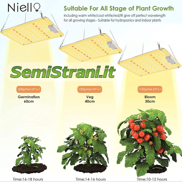 Wachstumslampe mit Sämlingswachstum in den verschiedenen Vegetations-, Blüte- und Fruchtphasen - SemiStrani.it