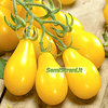 Tomate Yellow Pear