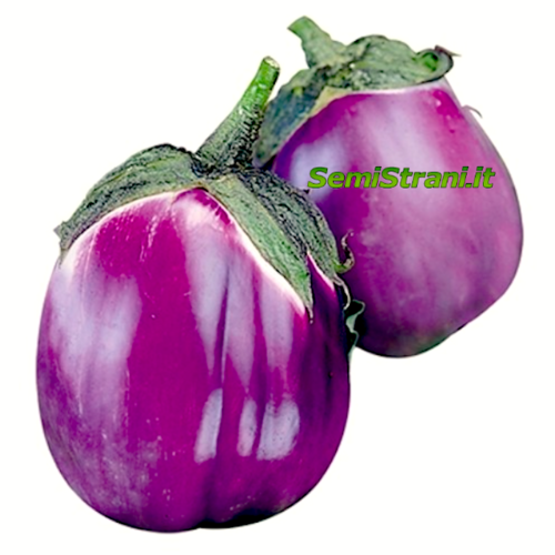 Eggplant Violetta Toscana