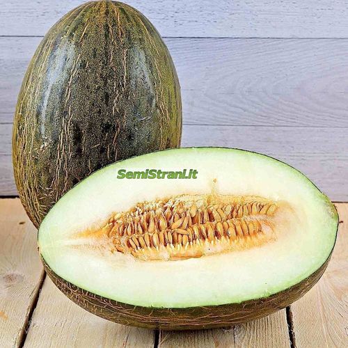 Melon Vert Piel de Sapo