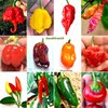 120 Seeds of the 12 most Classic and Hot Chillies - Classic Collection