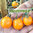 Pomodoro Ciliegino Arancione