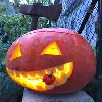 Guía Cultivo de Calabazas Quintal y Halloween