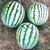 Guida alla Coltivazione di Anguria e Melone