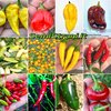120 Seeds of the 12 Tasty Peppers of the World - Collection Gourmet