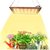 Guida alla scelta della Lampada Grow Lamp per la Coltivazione dei Peperoncini