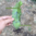 Esqueje Pitaya Blanca Fruta del Dragón con Raiz de 20 - 30 cm