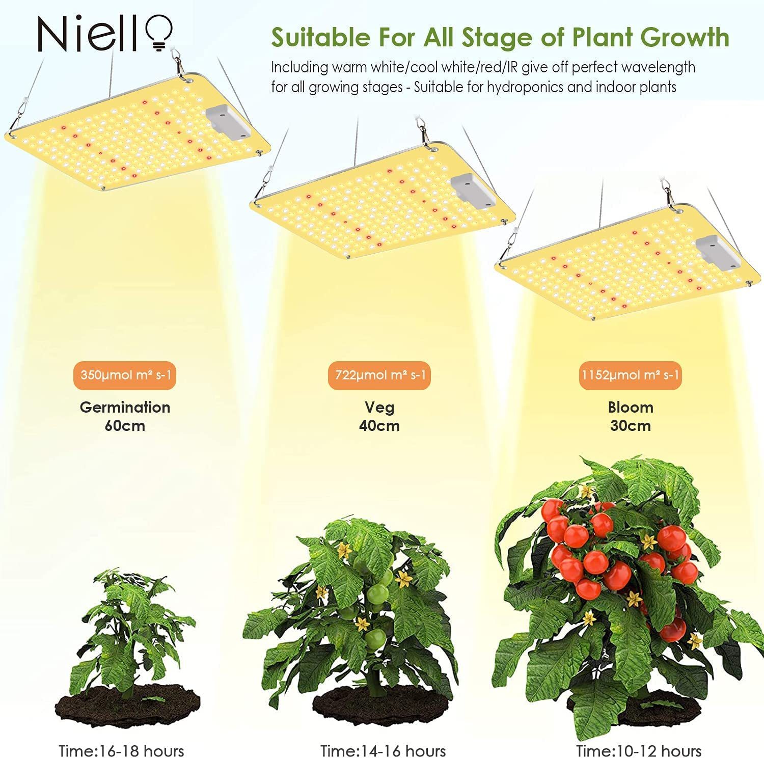 Grow lamp professionale 1000 watt coltivazione peperoncino
